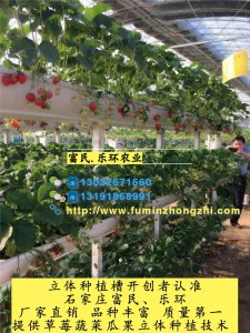 泰州乐环无土栽培槽、泰州乐环无土栽培槽技术