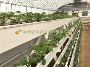 泰州乐环无土栽培槽技术、泰州乐环无土栽培槽