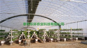 泰州乐环无土栽培槽